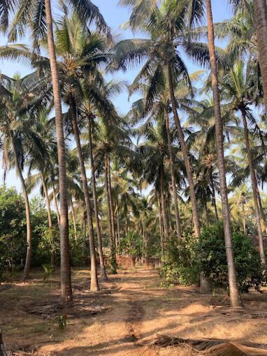 Sneh Beach Homestay - Wayangani Vengurla 外观 照片