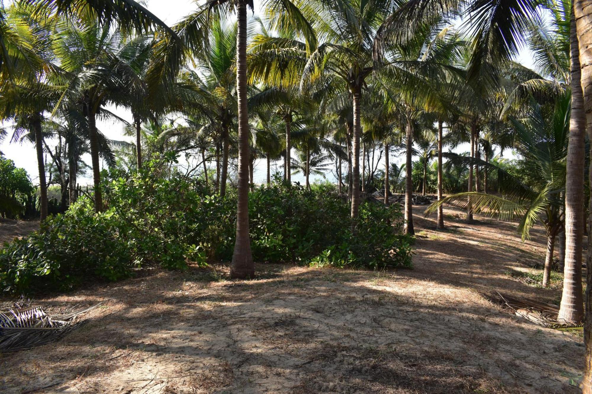 Sneh Beach Homestay - Wayangani Vengurla 外观 照片